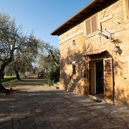 Casetta Maduneta Immersa In Un Oliveto Dolceacqua Exterior foto