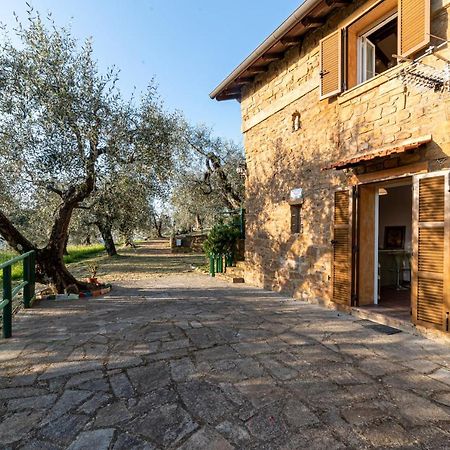 Casetta Maduneta Immersa In Un Oliveto Dolceacqua Exterior foto
