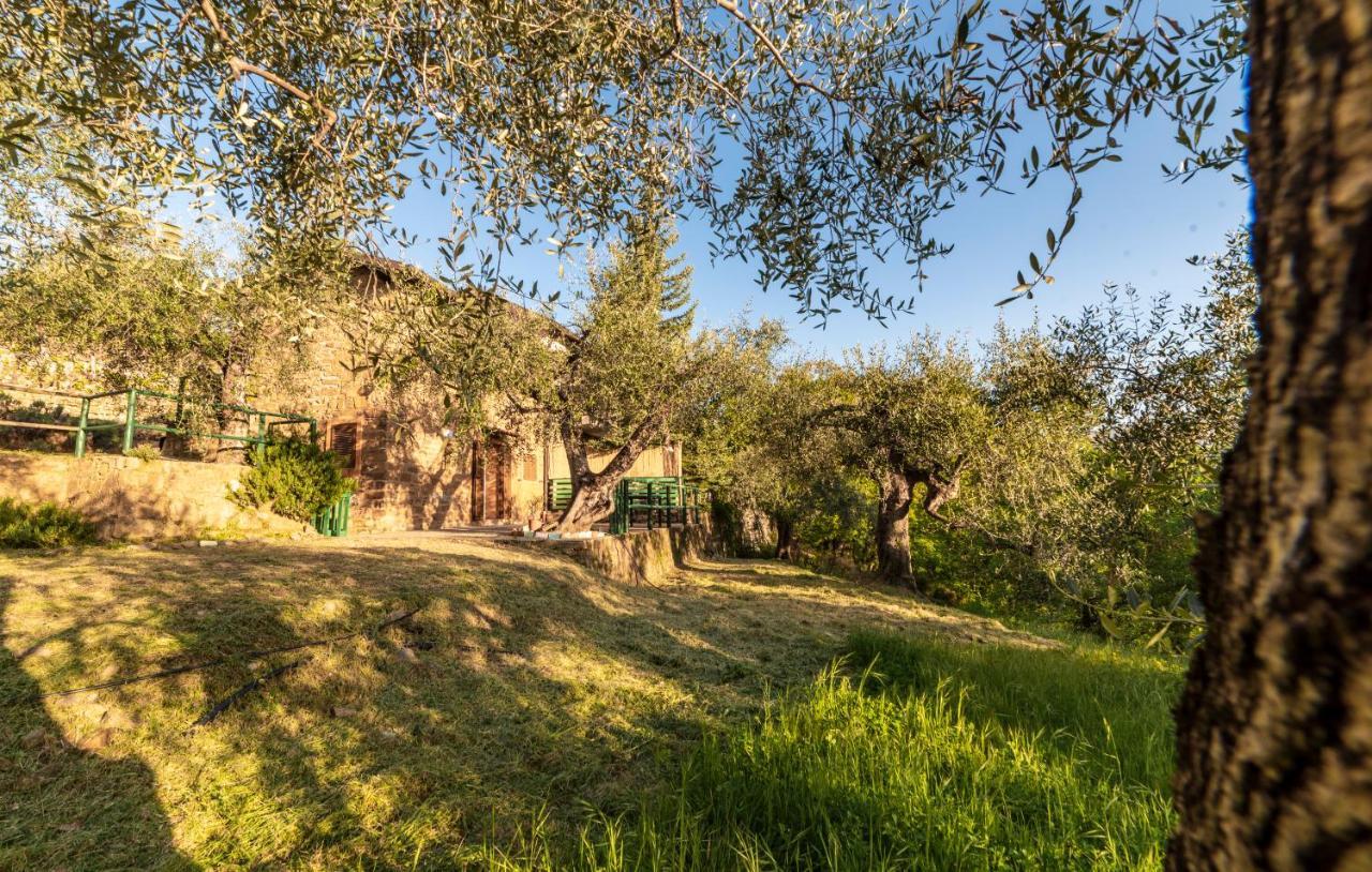 Casetta Maduneta Immersa In Un Oliveto Dolceacqua Exterior foto